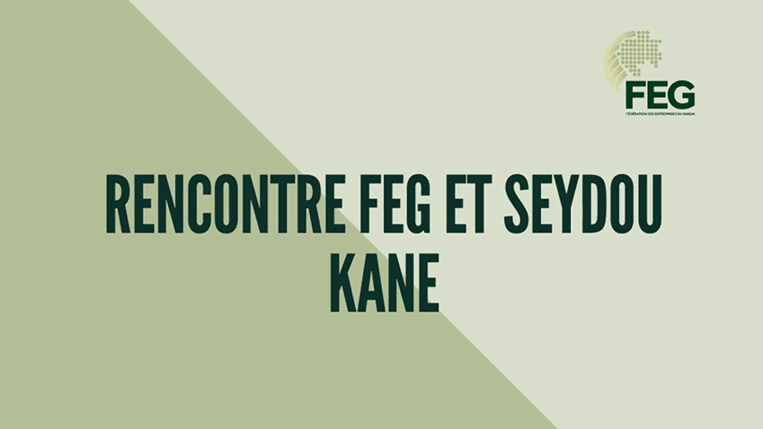 Rencontre entre le Vice-Président de la FEG chargé du Commerce et l'homme d'affaires Seydou KANE.