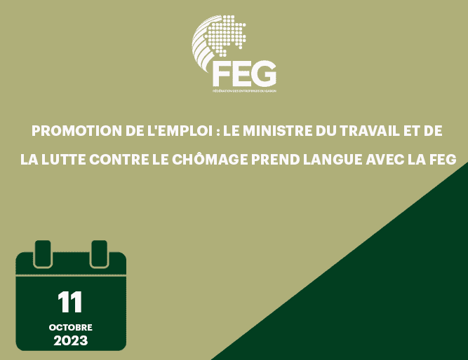 Promotion de l'Emploi : Le ministre du Travail et de la Lutte contre le Chômage prend langue avec la FEG
