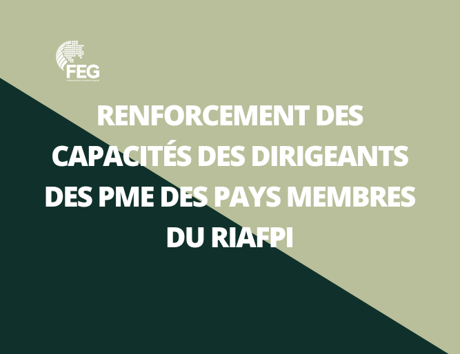 Renforcement des Capacités des Dirigeants des PME des pays membres du RIAFPI