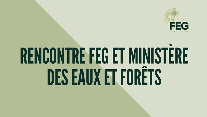 Réunion Vice - Président de la FEG en charge du Développement Durable et de la RSE - Ministre des eaux et forêts, de la mer, de l’environnement, chargé du plan climat et du plan d’affectation des terres
