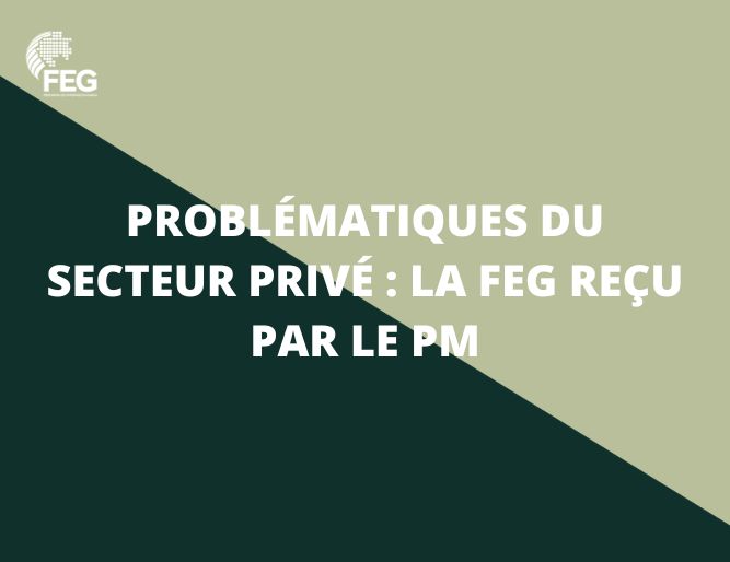 Problématiques du Secteur Privé : La FEG reçu par le PM