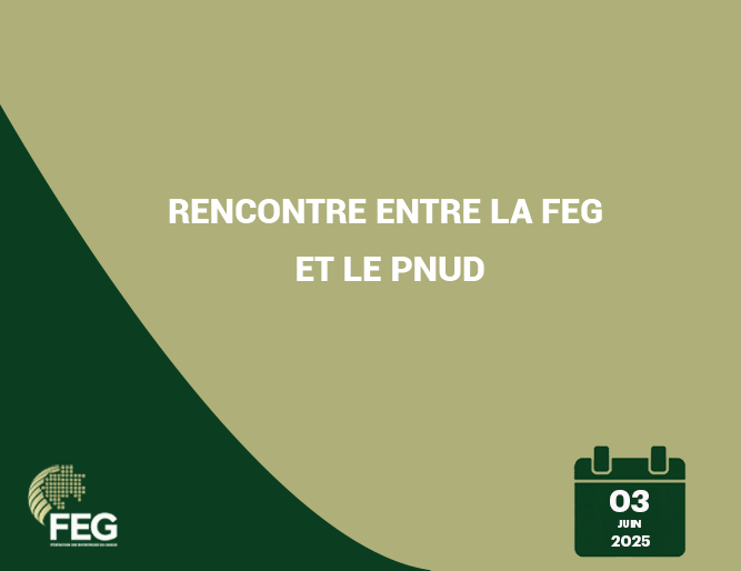 Rencontre entre la FEG et le PNUD